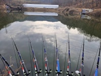 커뮤니티 > 자유게시판 > 식사들 하셨습니까??