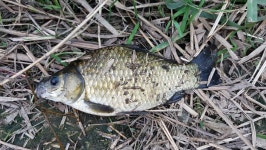 커뮤니티 > 자유게시판 > 영천낙동강수로서 시작!!!