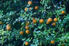 커뮤니티 > 자유게시판 > 인정 넘치는 자게방 ....