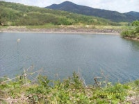 조황조행기 > 낚시점 조황 > 진주권소류지정보~