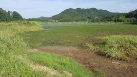 낚시터가는길 > 낚시터 소개 > 구미 장천 부곡지