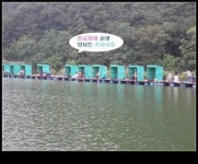 유료터정보 > 유료터조행기 > 9월4일 옥천 용암낚시터 (소정지) 방갈로 출조