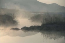 커뮤니티 > 포토갤러리 > 수로의 물안개