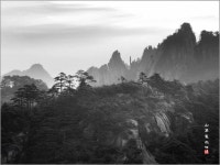 커뮤니티 > 포토갤러리 > 황산에서 ..