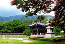 커뮤니티 > 포토갤러리 > 상주 인근의 아름다운 곳