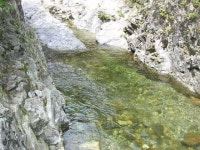 유료터정보 > 유료터점주조황 > ★ 낚시와 가볼만한곳 ★