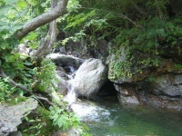 유료터정보 > 유료터점주조황 > ★ 낚시와 가볼만한곳 ★