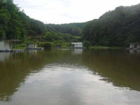 유료터정보 > 유료터점주조황 > 충남 아산 신수낚시터 7월 둘째주 중 조황입니다.