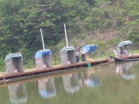 유료터정보 > 유료터점주조황 > [낚시하기 좋은계절]