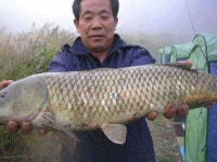 대물낚시스크린체험장 | 유료터정보 > 유료터점주조황 > [ 대물잔치는 계속됩니다!!!]