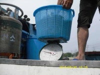 유료터정보 > 유료터점주조황 > 경주 동산낚시터-5월 4주 조황안내