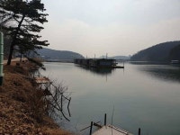 유료터정보 > 유료터점주조황 > 물 맑고 힘 좋은 용인 삼인 낚시터 조황~~!!-용인 삼인낚시터-