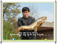 유료터정보 > 유료터점주조황 > 좋은 시설 최고의 써비스 화성 관리 낚시터입니다.[좋아지고 있습니다.]