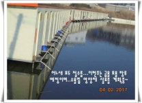 유료터정보 > 유료터점주조황 > 도심속의 작은 쉼터! 화성 관리 낚시터입니다.
