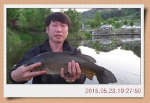 월선낚시터매점 | 유료터정보 > 유료터점주조황 > 충남 아산 월선낚시터 5월 23일자 스케치