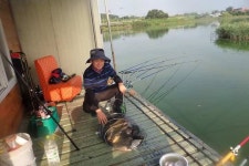 유료터정보 > 유료터점주조황 > 오목낚시터 여름휴가철 조황~