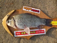 유료터정보 > 유료터점주조황 > 올해 4짜 100번째 조사님이 나왔습니다.