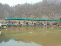 유료터정보 > 유료터점주조황 > 삼방낙시터 주말 조황정보 및 방류입니다