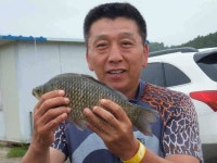 유료터정보 > 유료터점주조황 > 토종만을 고집하는 내동지