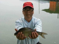 유료터정보 > 유료터점주조황 > ♣ 즐거운 휴일 붕어 대박♣