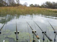 유료터정보 > 유료터점주조황 > ★ 춘천 의암호 광명 낚시터 ★