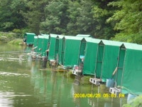 유료터정보 > 유료터점주조황 > 경주동산낚시터