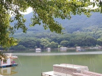 유료터정보 > 유료터점주조황 > 아산 산들낚시터의 8월14일에 올리는 어제,그제 모습입니다.