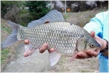 유료터정보 > 유료터점주조황 > 이 조그만 소류지에서...