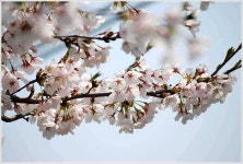 유료터정보 > 유료터점주조황 > 이 조그만 소류지에서...