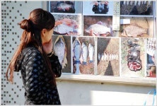 유료터정보 > 유료터점주조황 > 이 조그만 소류지에서...