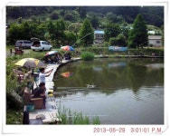 유료터정보 > 유료터점주조황 > 충남 아산 월선낚시터 6월 29일 조황정보