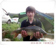 유료터정보 > 유료터점주조황 > 충남 아산 월선낚시터 6월 29일 조황정보