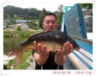 유료터정보 > 유료터점주조황 > 충남 아산 월선낚시터 6월 28일 조황정보