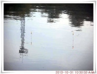 유료터정보 > 유료터점주조황 > 충남 아산 월선낚시터 10월 31일자 조황정보