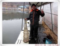 유료터정보 > 유료터점주조황 > 충남 아산 월선낚시터 1월 30일자 조황정보