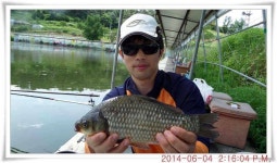 유료터정보 > 유료터점주조황 > 충남 아산 월선낚시터 6월 4일자 조황정보