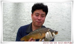 유료터정보 > 유료터점주조황 > 충남 아산 월선낚시터 6월 4일자 조황정보