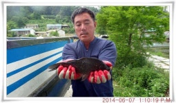 유료터정보 > 유료터점주조황 > 충남 아산 월선낚시터 6월 7일자 조황정보