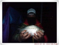 유료터정보 > 유료터점주조황 > 충남 아산 월선낚시터 1월 31일자 조황정보