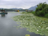 유료터정보 > 유료터점주조황 > 휴가철 가볼 만한곳