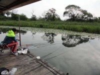 유료터정보 > 유료터점주조황 > 낚시터 정취에 취해~~~~~^^