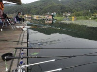 유료터정보 > 유료터점주조황 > 낚시터 정취에 취해~~~~~^^