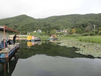 유료터정보 > 유료터점주조황 > 붕어 삼형제~~