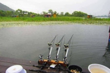 유료터정보 > 유료터점주조황 > 어제에 이어 오늘도 잘 나오네요~~^^