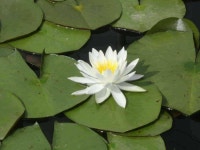 유료터정보 > 유료터점주조황 > 와우~~역시 이사장님!!