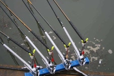 유료터정보 > 유료터점주조황 > 황금 빛나는 붕순이를 만나면...