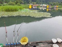 유료터정보 > 유료터점주조황 > 낚시터 정취에 취해~~