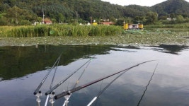 유료터정보 > 유료터점주조황 > 한적한 낚시터~~~~~^^