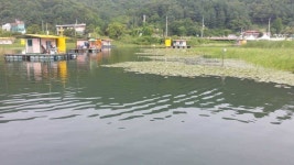 유료터정보 > 유료터점주조황 > 붕어~~~~^^