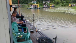 유료터정보 > 유료터점주조황 > 아름다움의 절정을 이루는 광명 낚시터~~~~~^^